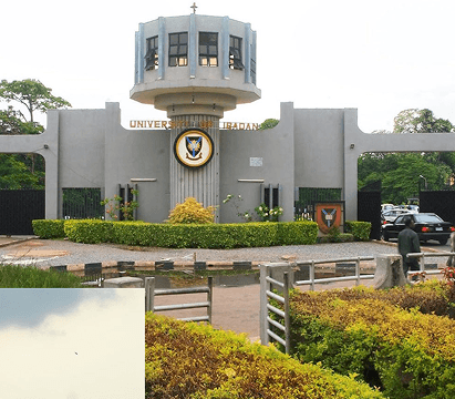 ACN UI, Oyo campus